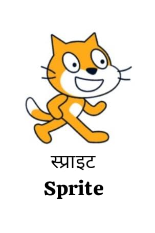 कक्षा 8 इकाई 20 स्क्रैच द्वारा कोडिंग 